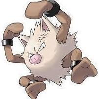 Primeape